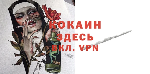 шишки Вязьма