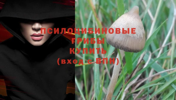 винт Вязники