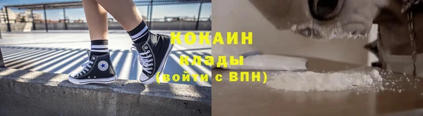 шишки Вязьма