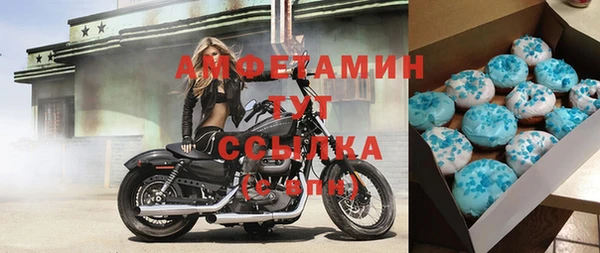 шишки Вязьма